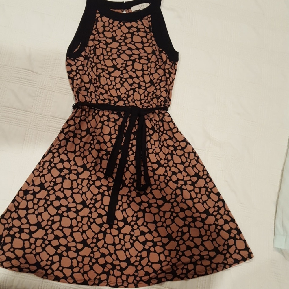 Ann Taylor Loft dress in size XS